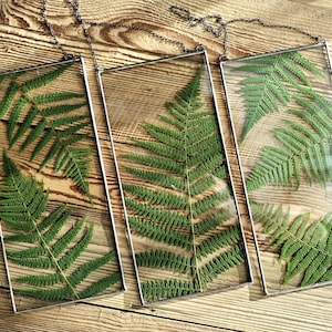 Set of 3, Pressed Fern in Stained Glass Frame, Suncatcher, Unique Floral Wall Decor for Nature Lovers