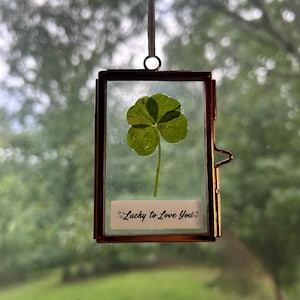 Four Leaf Clover Suncatcher, Floating Frame, Pressed Flower, Pressed Plant, Lucky Wall Art, Rare, Unique Gift, Wedding Gift, Graduation Gift